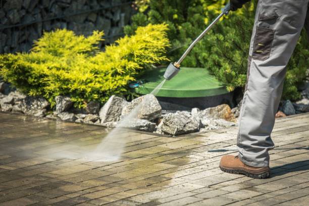 Best House Exterior Washing  in Wautoma, WI